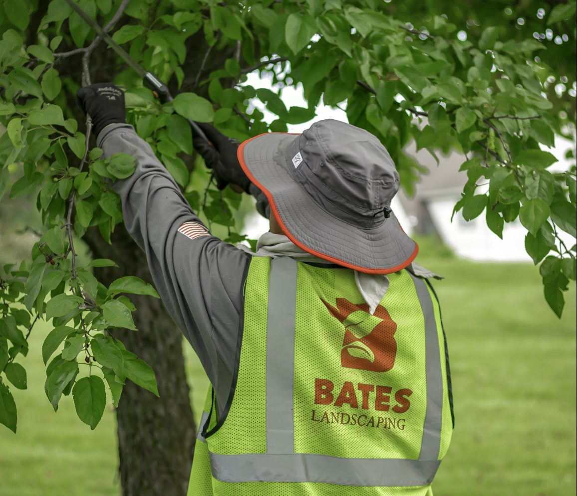 Pruning Services in Malvern, PA