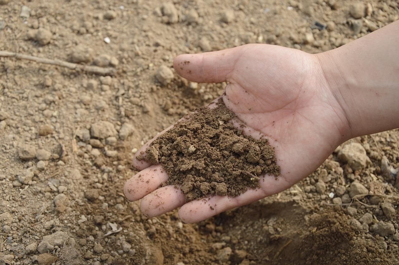 Fertilizer ready for flower planting.